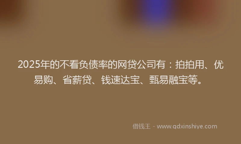 2025年的不看负债率的网贷公司有：拍拍用、优易购、省薪贷、钱速达宝、甄易融宝等。