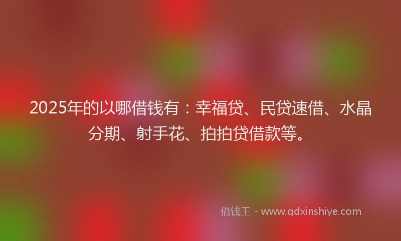 2025年的以哪借钱有：幸福贷、民贷速借、水晶分期、射手花、拍拍贷借款等。