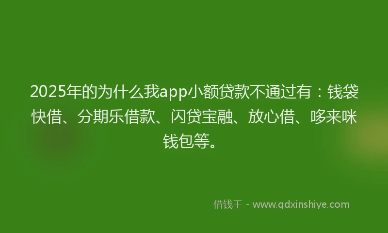 2025年的为什么我app小额贷款不通过有：钱袋快借、分期乐借款、闪贷宝融、放心借、哆来咪钱包等。
