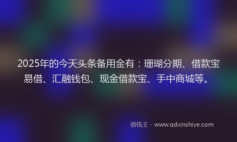 2025年的今天头条备用金有：珊瑚分期、借款宝易借、汇融钱包、现金借款宝、手中商城等。