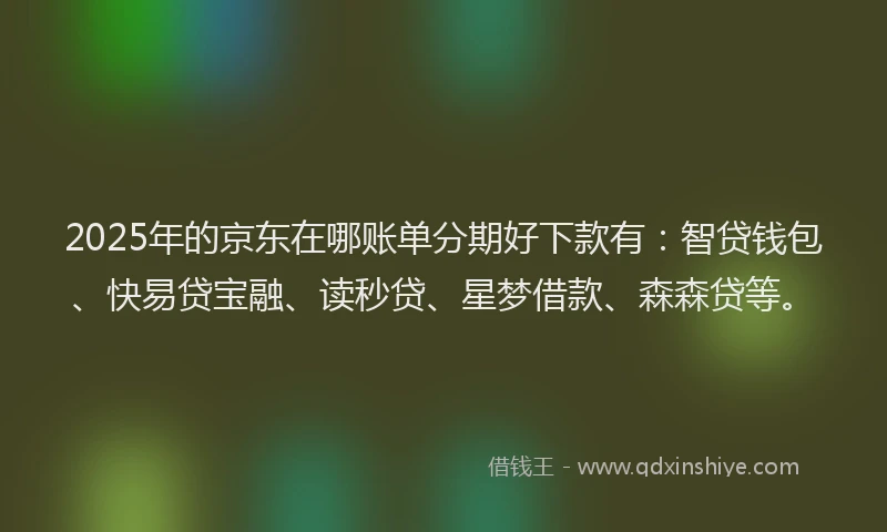2025年的京东在哪账单分期好下款有：智贷钱包、快易贷宝融、读秒贷、星梦借款、森森贷等。