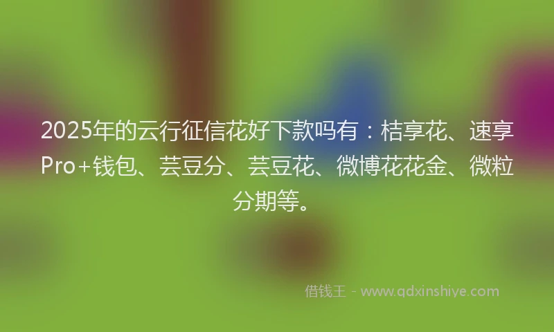 2025年的云行征信花好下款吗有：桔享花、速享Pro+钱包、芸豆分、芸豆花、微博花花金、微粒分期等。