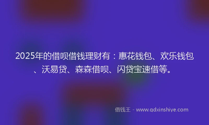 2025年的借呗借钱理财有：惠花钱包、欢乐钱包、沃易贷、森森借呗、闪贷宝速借等。