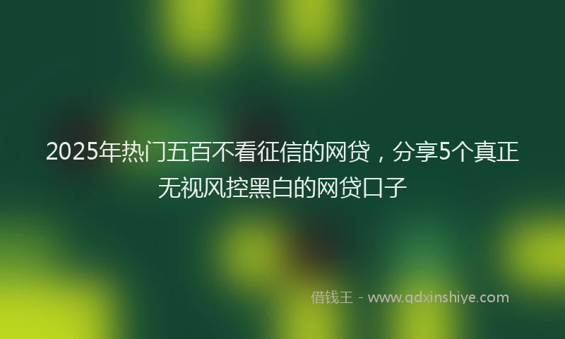 2025年热门五百不看征信的网贷，分享5个真正无视风控黑白的网贷口子