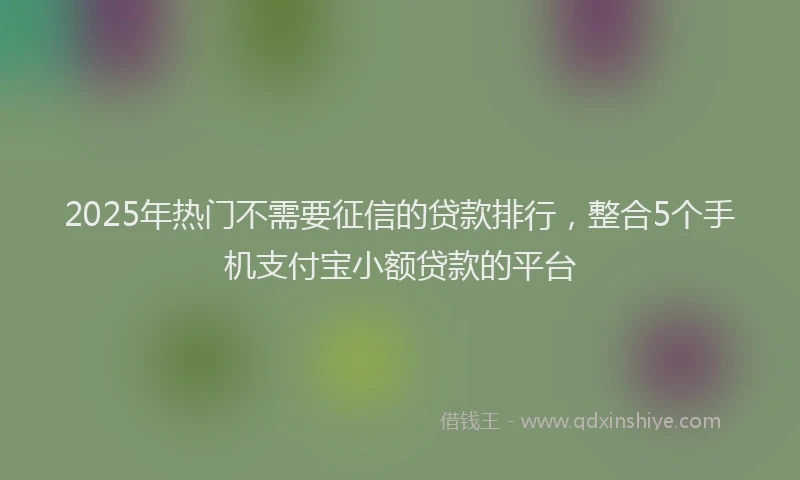 2025年热门不需要征信的贷款排行，整合5个手机支付宝小额贷款的平台