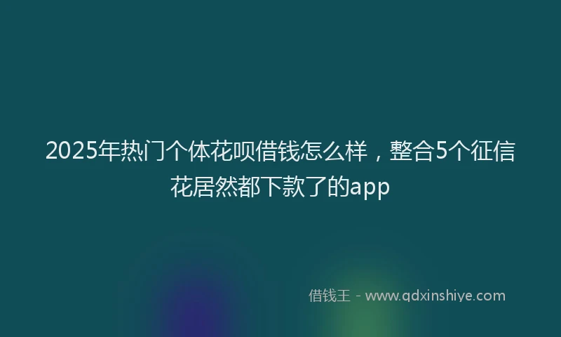 2025年热门个体花呗借钱怎么样，整合5个征信花居然都下款了的app