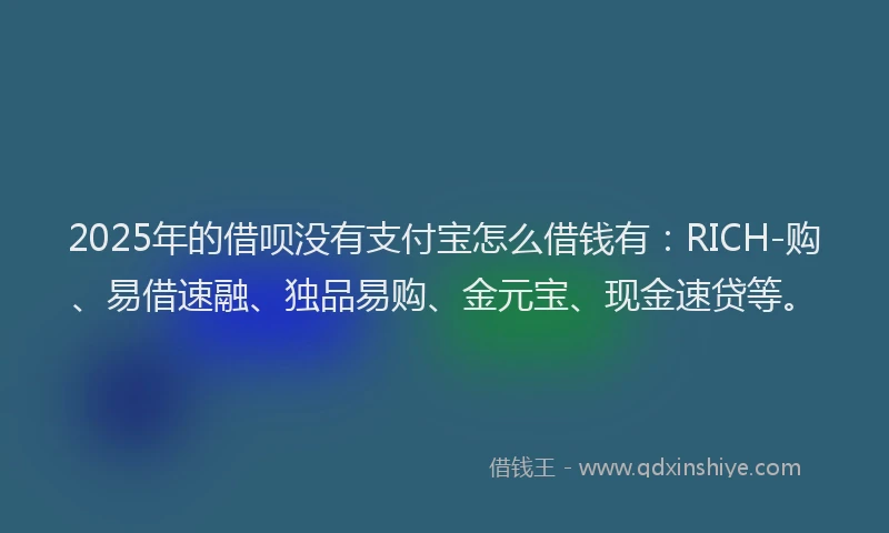 2025年的借呗没有支付宝怎么借钱有：RICH-购、易借速融、独品易购、金元宝、现金速贷等。