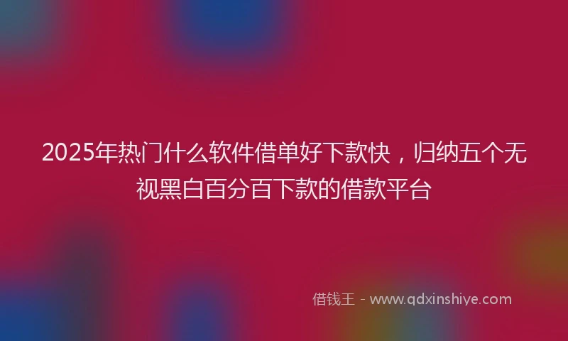 2025年热门什么软件借单好下款快，归纳五个无视黑白百分百下款的借款平台