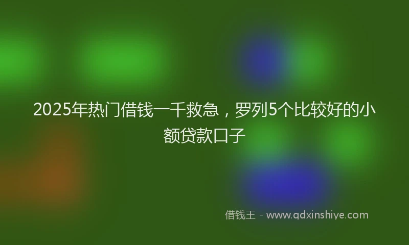 2025年热门借钱一千救急，罗列5个比较好的小额贷款口子