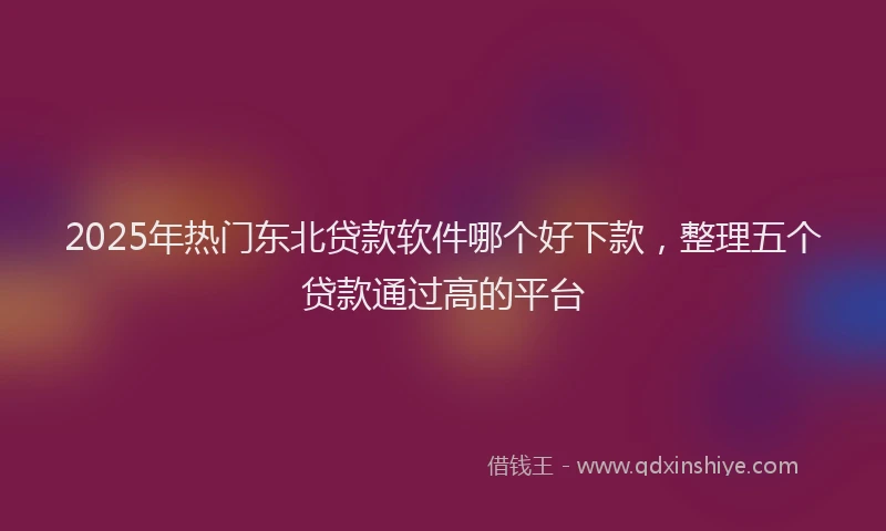 2025年热门东北贷款软件哪个好下款，整理五个贷款通过高的平台