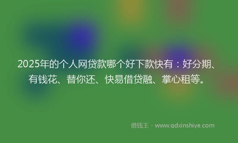 2025年的个人网贷款哪个好下款快有：好分期、有钱花、替你还、快易借贷融、掌心租等。