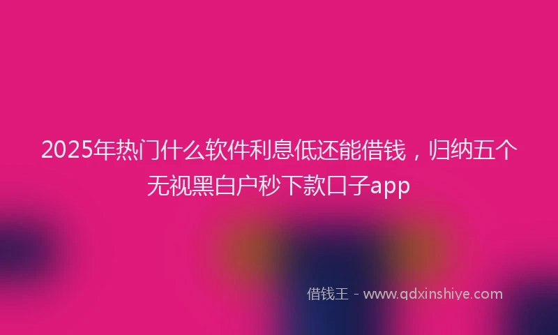 2025年热门什么软件利息低还能借钱，归纳五个无视黑白户秒下款口子app