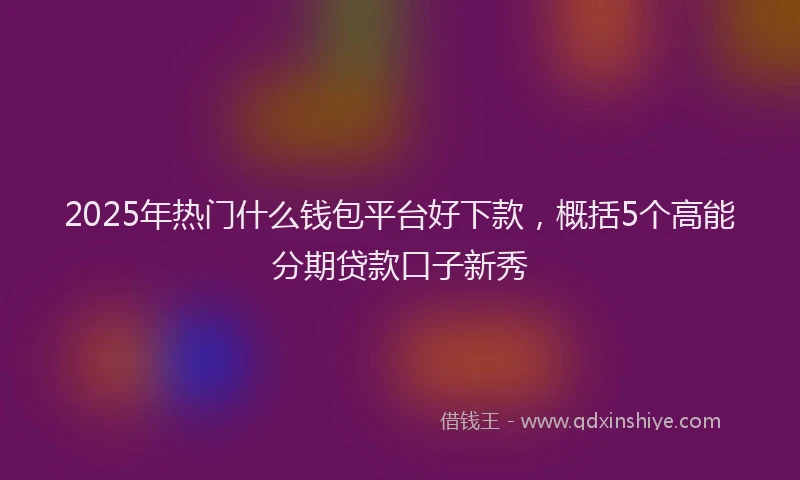 2025年热门什么钱包平台好下款，概括5个高能分期贷款口子新秀