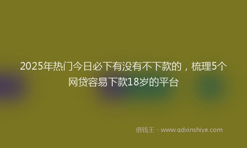 2025年热门今日必下有没有不下款的，梳理5个网贷容易下款18岁的平台