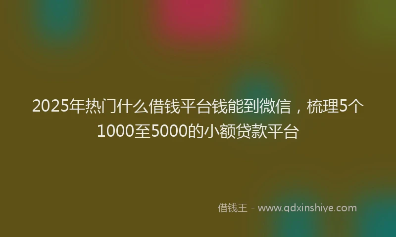 2025年热门什么借钱平台钱能到微信，梳理5个1000至5000的小额贷款平台