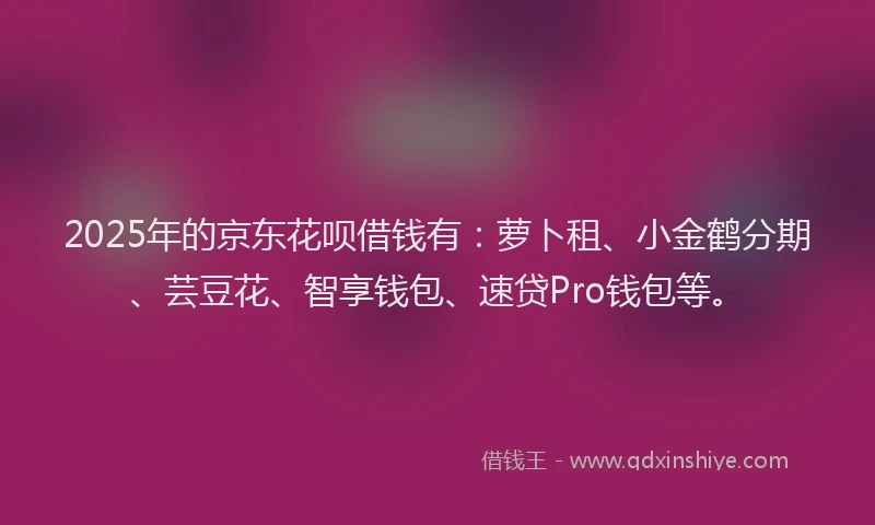 2025年的京东花呗借钱有：萝卜租、小金鹤分期、芸豆花、智享钱包、速贷Pro钱包等。