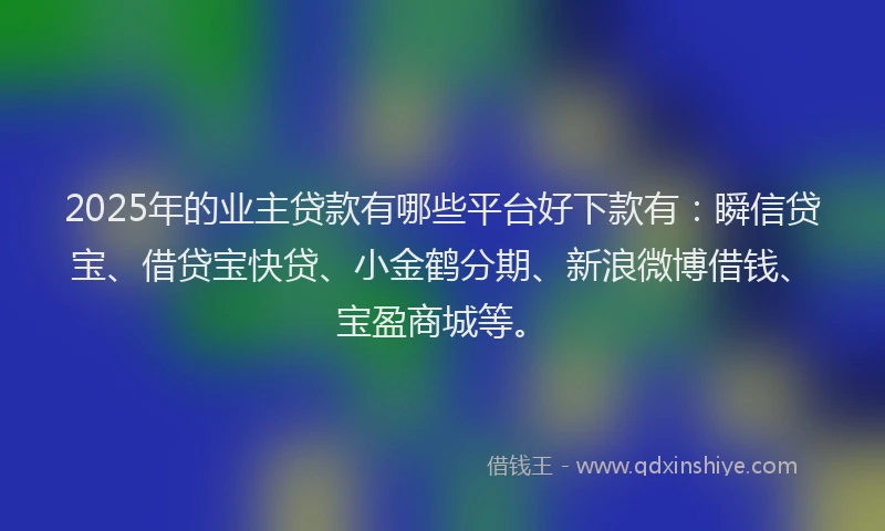 2025年的业主贷款有哪些平台好下款有：瞬信贷宝、借贷宝快贷、小金鹤分期、新浪微博借钱、宝盈商城等。