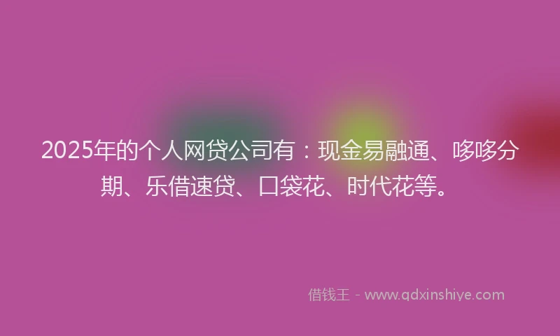 2025年的个人网贷公司有：现金易融通、哆哆分期、乐借速贷、口袋花、时代花等。