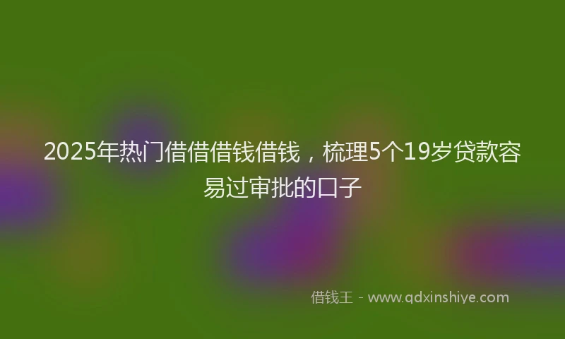 2025年热门借借借钱借钱，梳理5个19岁贷款容易过审批的口子
