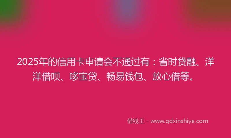 2025年的信用卡申请会不通过有：省时贷融、洋洋借呗、哆宝贷、畅易钱包、放心借等。