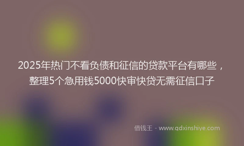 2025年热门不看负债和征信的贷款平台有哪些，整理5个急用钱5000快审快贷无需征信口子
