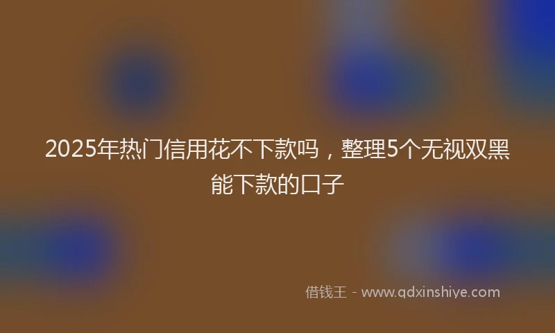 2025年热门信用花不下款吗，整理5个无视双黑能下款的口子