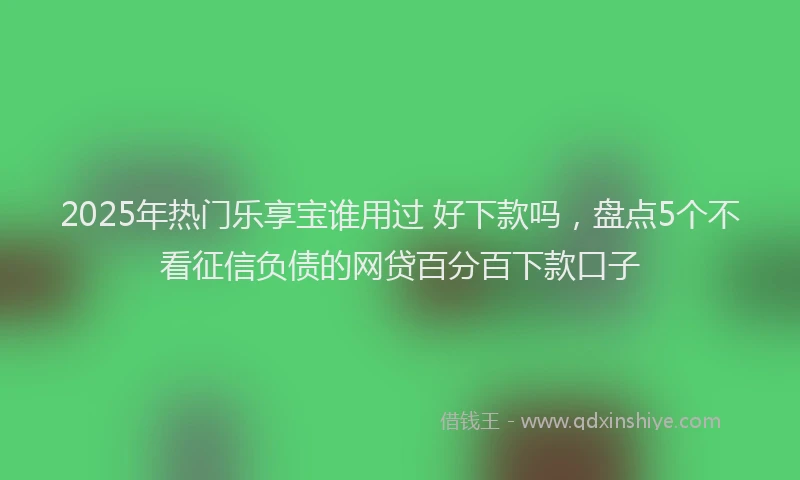 2025年热门乐享宝谁用过 好下款吗，盘点5个不看征信负债的网贷百分百下款口子
