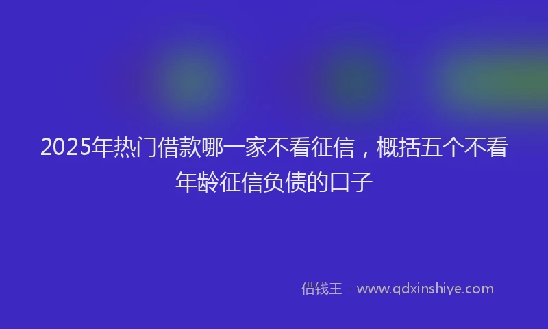 2025年热门借款哪一家不看征信，概括五个不看年龄征信负债的口子