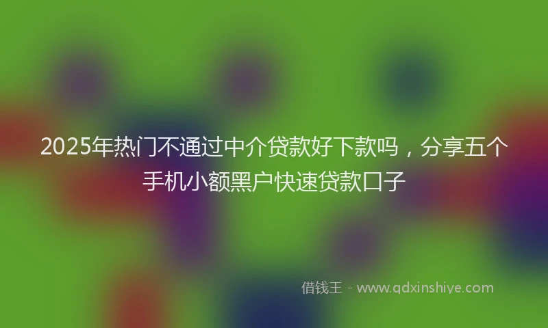 2025年热门不通过中介贷款好下款吗，分享五个手机小额黑户快速贷款口子