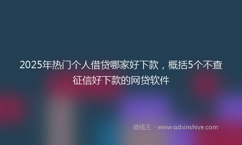 2025年热门个人借贷哪家好下款，概括5个不查征信好下款的网贷软件