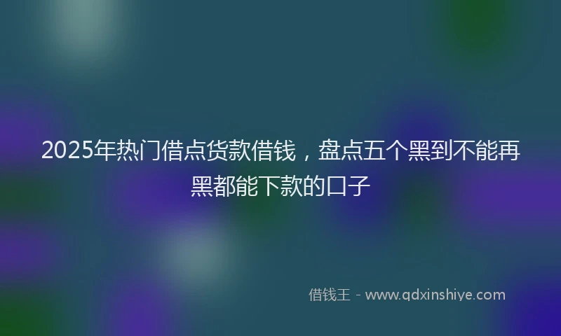 2025年热门借点货款借钱，盘点五个黑到不能再黑都能下款的口子