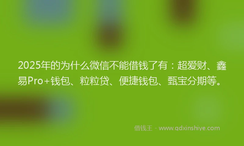 2025年的为什么微信不能借钱了有：超爱财、鑫易Pro+钱包、粒粒贷、便捷钱包、甄宝分期等。