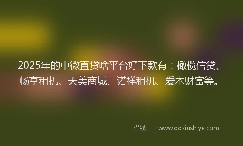 2025年的中微直贷啥平台好下款有：橄榄信贷、畅享租机、天美商城、诺祥租机、爱木财富等。