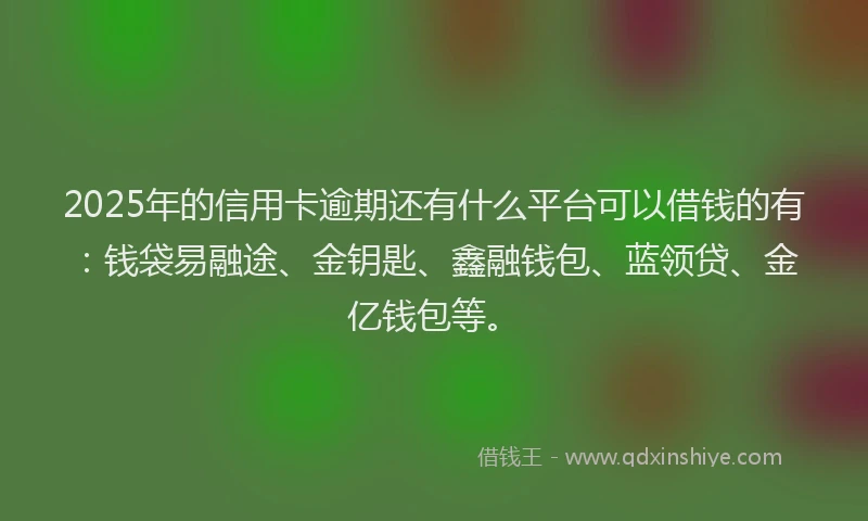 2025年的信用卡逾期还有什么平台可以借钱的有：钱袋易融途、金钥匙、鑫融钱包、蓝领贷、金亿钱包等。