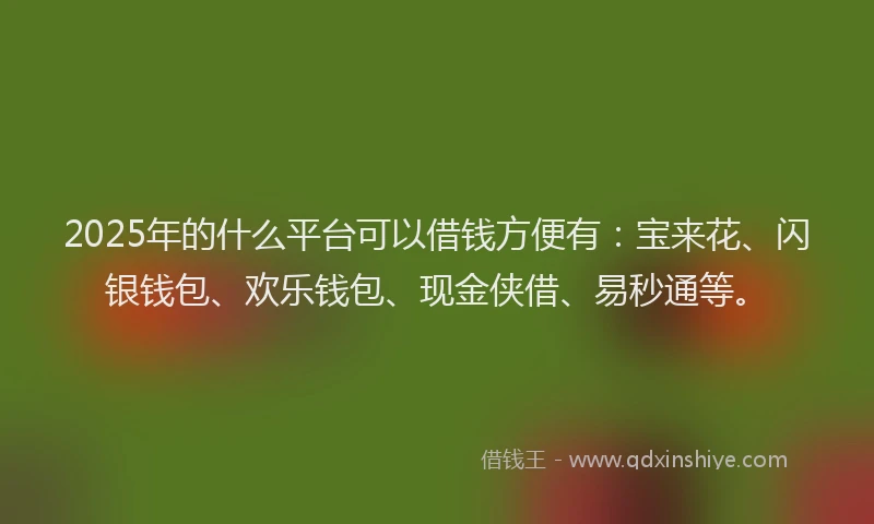 2025年的什么平台可以借钱方便有：宝来花、闪银钱包、欢乐钱包、现金侠借、易秒通等。