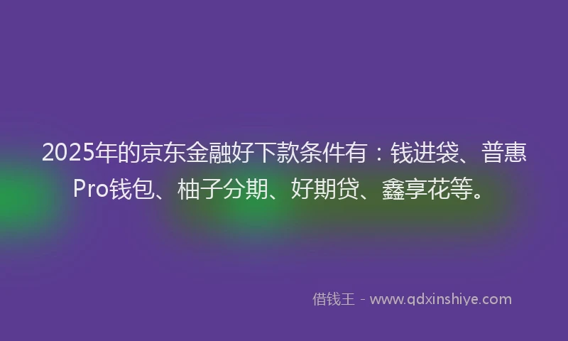 2025年的京东金融好下款条件有：钱进袋、普惠Pro钱包、柚子分期、好期贷、鑫享花等。