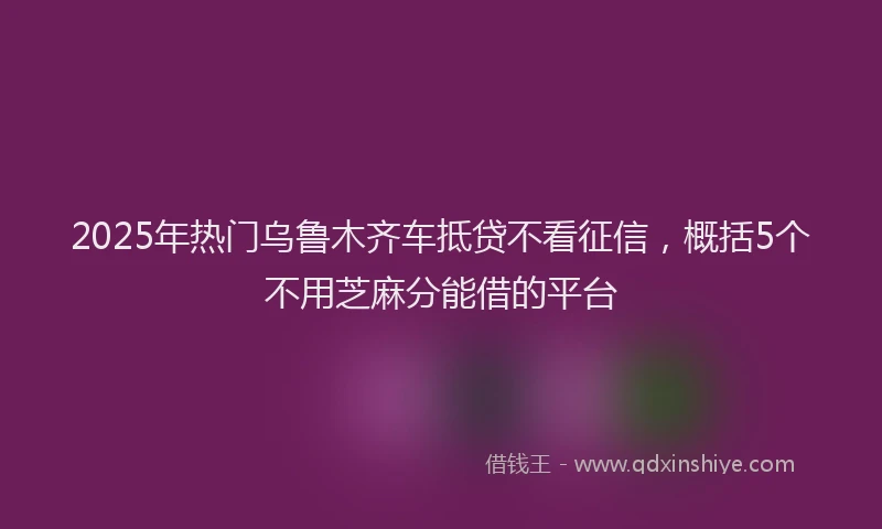 2025年热门乌鲁木齐车抵贷不看征信，概括5个不用芝麻分能借的平台