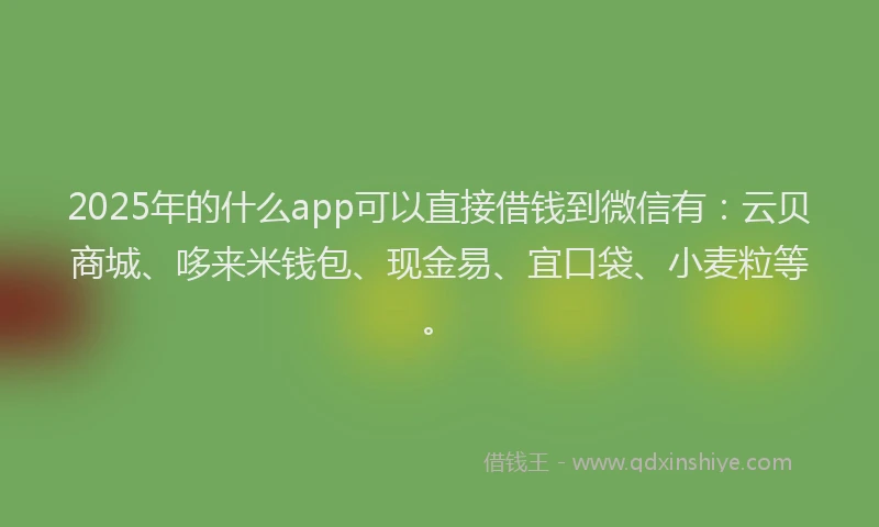 2025年的什么app可以直接借钱到微信有：云贝商城、哆来米钱包、现金易、宜口袋、小麦粒等。