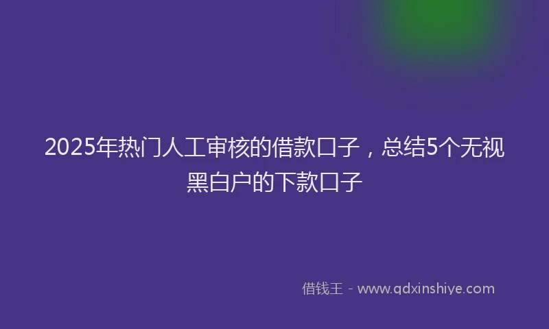 2025年热门人工审核的借款口子，总结5个无视黑白户的下款口子