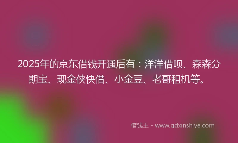 2025年的京东借钱开通后有：洋洋借呗、森森分期宝、现金侠快借、小金豆、老哥租机等。