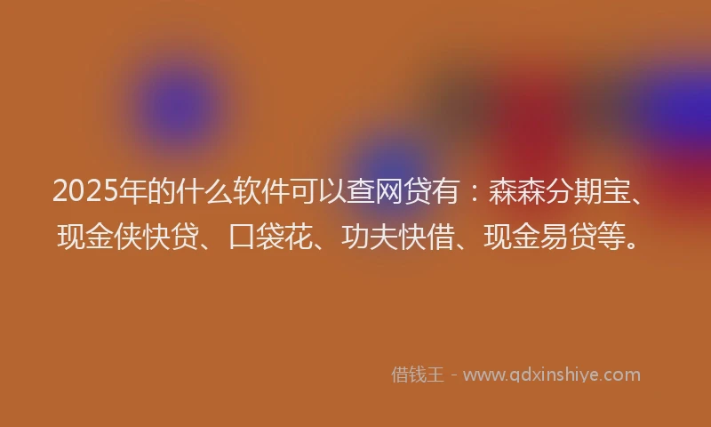2025年的什么软件可以查网贷有：森森分期宝、现金侠快贷、口袋花、功夫快借、现金易贷等。