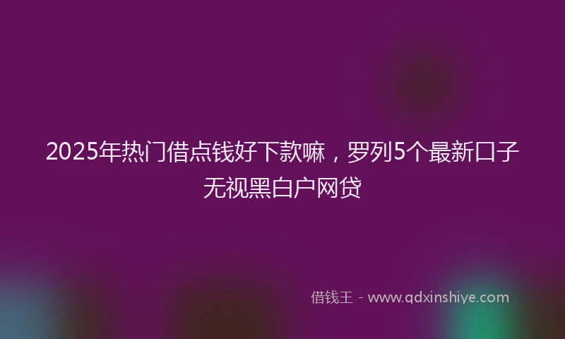 2025年热门借点钱好下款嘛，罗列5个最新口子无视黑白户网贷