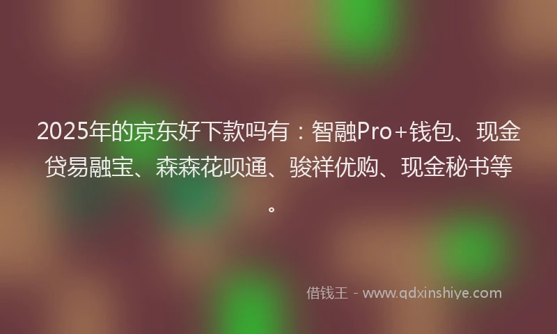 2025年的京东好下款吗有：智融Pro+钱包、现金贷易融宝、森森花呗通、骏祥优购、现金秘书等。