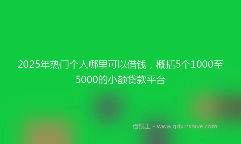 2025年热门个人哪里可以借钱，概括5个1000至5000的小额贷款平台