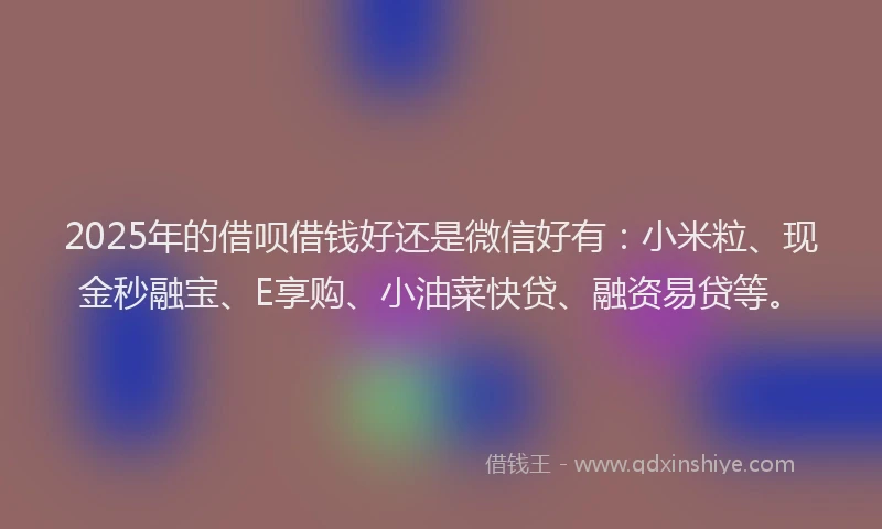 2025年的借呗借钱好还是微信好有：小米粒、现金秒融宝、E享购、小油菜快贷、融资易贷等。