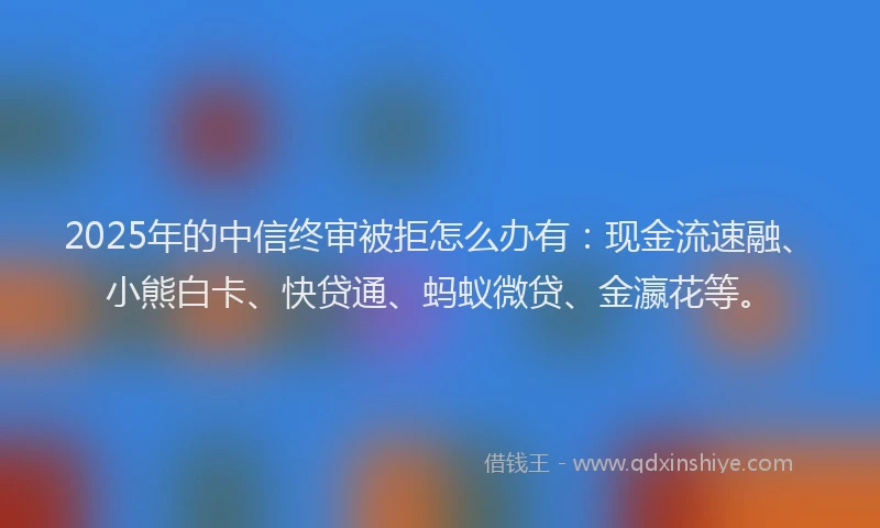 2025年的中信终审被拒怎么办有：现金流速融、小熊白卡、快贷通、蚂蚁微贷、金瀛花等。