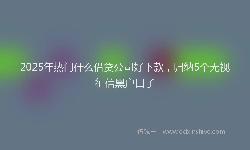 2025年热门什么借贷公司好下款，归纳5个无视征信黑户口子