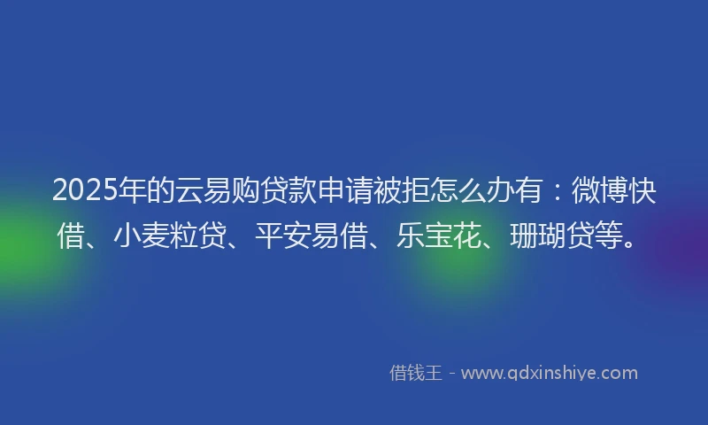 2025年的云易购贷款申请被拒怎么办有：微博快借、小麦粒贷、平安易借、乐宝花、珊瑚贷等。