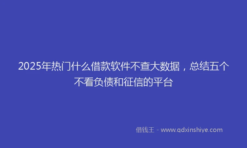 2025年热门什么借款软件不查大数据，总结五个不看负债和征信的平台