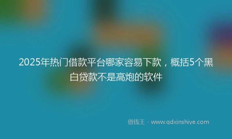 2025年热门借款平台哪家容易下款，概括5个黑白贷款不是高炮的软件